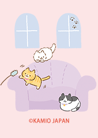 CAT -Enjoy Room-