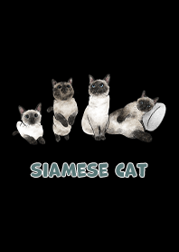 siamesecats3 - black