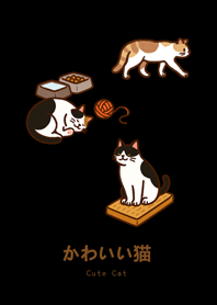 我養的貓咪們(純黑色)