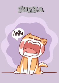 ไออิง ใครไม่บะ ชิบะ 4 V16