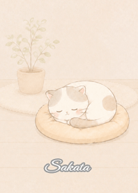 さかた専用★スヤスヤゆるねこ