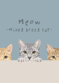 Meow - Mixed breed cat 03 - DUSTY BLUE
