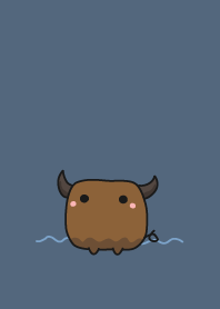 cow staring - 01