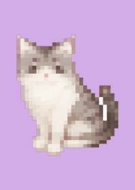 Cat Pixel Art Theme  Purple 02