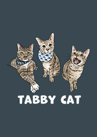 tabbycat2 / indigo