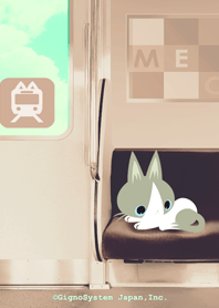 いたずら猫と電車の旅