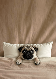 療癒趣味蓋棉被狗勾-巴哥犬1E 奶油色