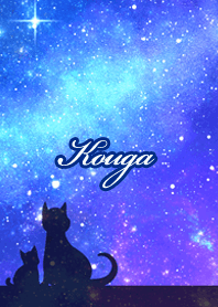 こうが用★星空と猫シルエット