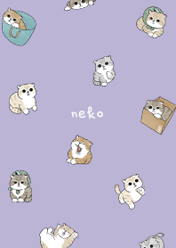 neko combo5 - violet