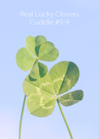 四つ葉のクローバー Cuddle #9-9