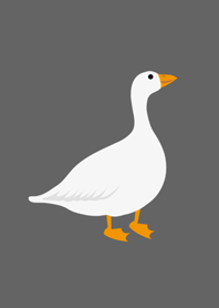 드워프 거위! 멋진! 아름다운!