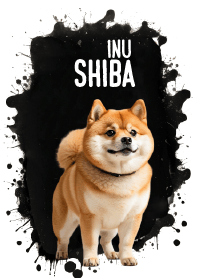 Cute Shiba Inu Cool Theme