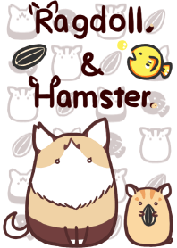 Ragdoll & Hamster - Y