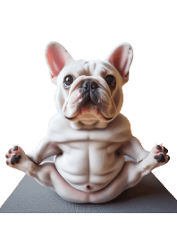 Yogi French Bulldog