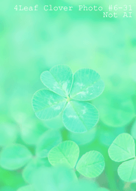 4leaf Clover Photo#6-31Not AI