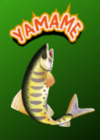 Land-locked trout
