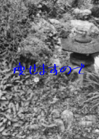 我在日本花園裡發誓“我可以減肥”