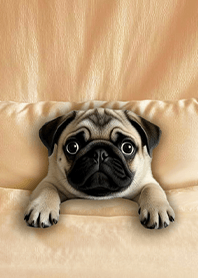 療癒趣味蓋棉被狗勾-巴哥犬1C 牛奶糖色