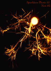 Sparklers Photo117 Not AI
