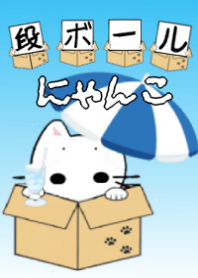 Theme Cats in cardboard [summer]
