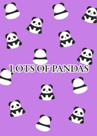 LOTS OF PANDAS-PURPLE