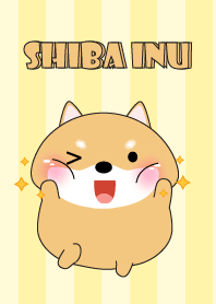 Oh! I'm Cute Shiba Inu