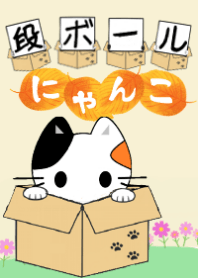 cat in the Cardboard box [autumn]