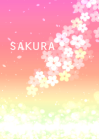 Beautiful SAKURA9