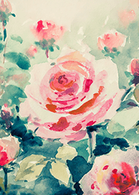 Beautiful rose flower(R4581)