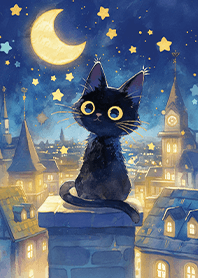 星夜の街のかわいい黒猫❤️