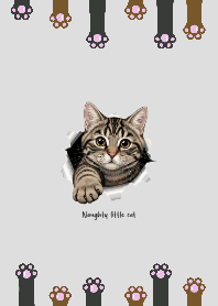 Mackerel tabby cat