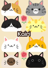 Kairi Scandinavian cute cat3