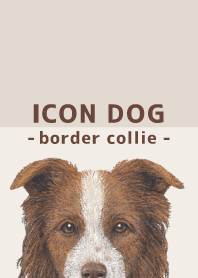 ICON DOG - ボーダーコリー - BROWN/06