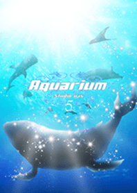 水族館5