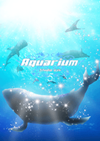 水族館 Aquarium5