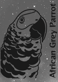 African Grey Parrot
