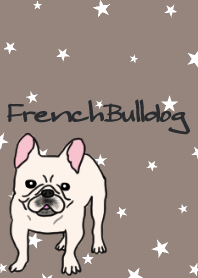 Adult French bulldog