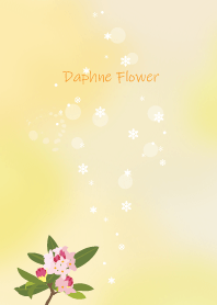 Daphne Flower