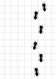 Simple ants procession theme