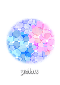 3colors hydrangea