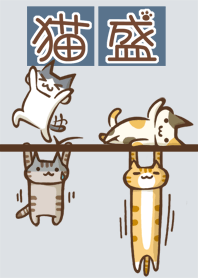 猫盛7　ぶら下がり