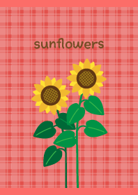 Cute sunflower on red