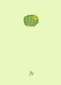 cactus YA