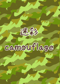 迷彩 -camouflage-