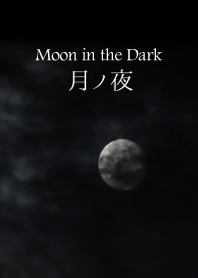 Moon in the Dark !