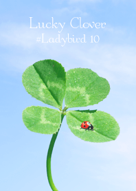 Lucky Clover #Ladybird 10