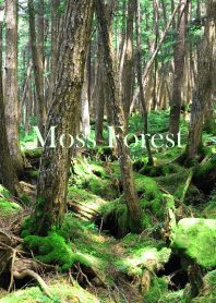 Moss Forest -MEKYM-