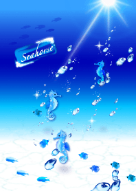 seahorse (sea, ocean, fish, shell)