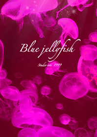 Pink jellyfish