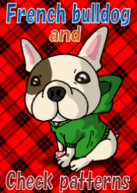 French bulldog and check patterns.